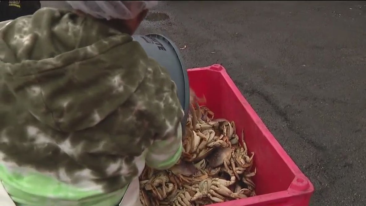 Dungeness crab season delayed yet again